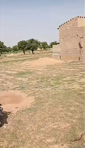 Land and Plot