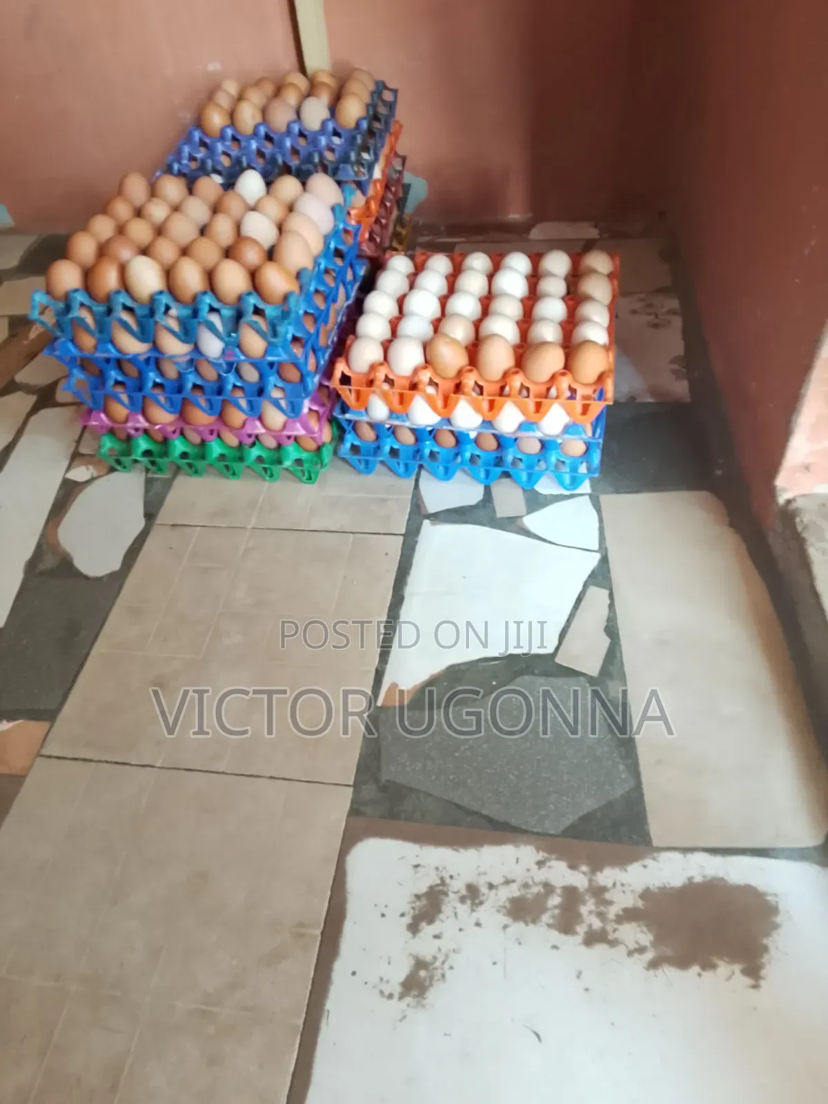 Crates of Eggs