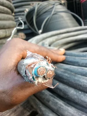 25mmx2core Copper Armored