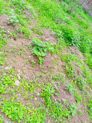 1.96 Hectares Mixed-Use Land at Maitama Main