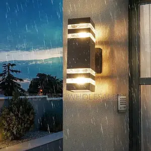 Modern Outdoor Wall Light