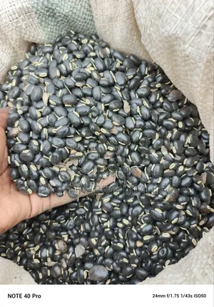 Mucuna Seeds
