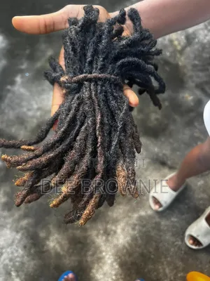 Natural Dreadlock