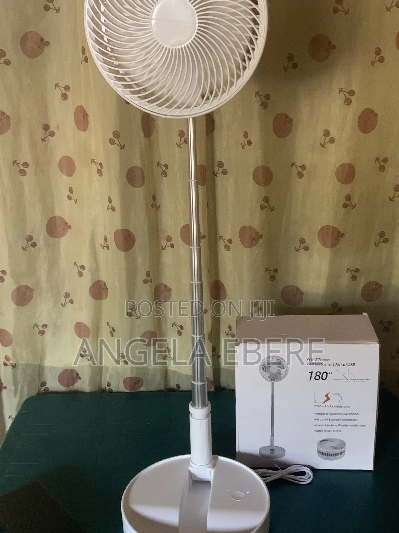 Rechargeable Fan
