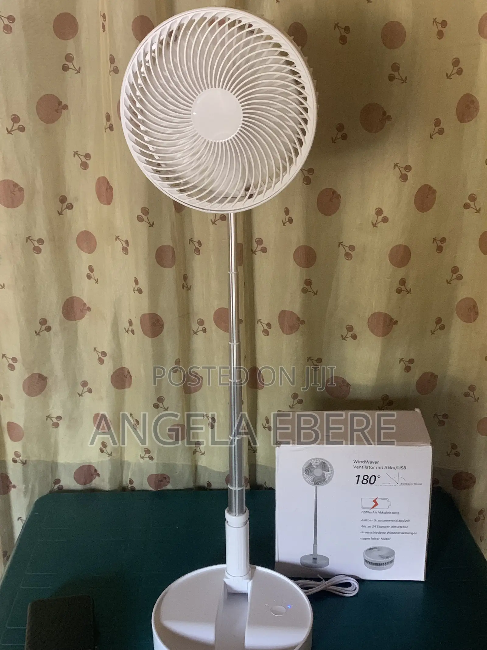 Rechargeable Fan