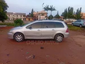 Peugeot 307 SW 1.6 2005 Silver