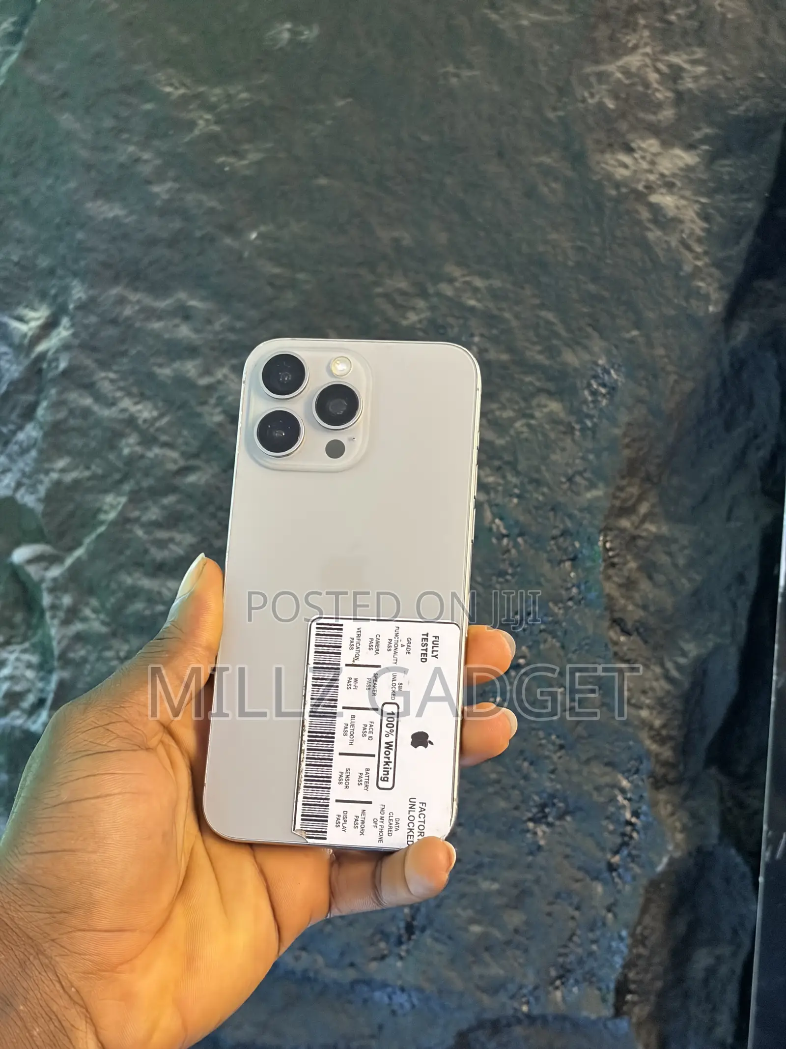 Apple iPhone 15 Pro Max 256 GB Silver