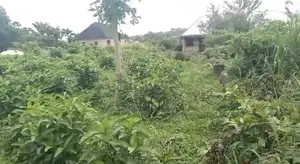 Cheap 100by100 Land for Sale in Benin