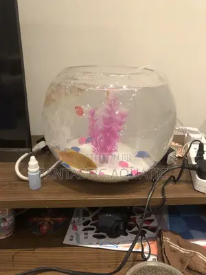 Large Fishbowl Kit With 2 Big Fishes