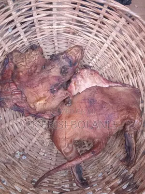 Mayorbfoods Bushmeat