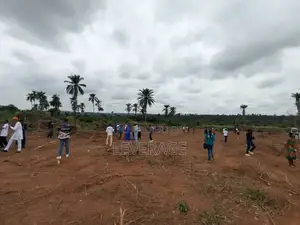 Affordable Land Around Gateway International Airport, Iperu