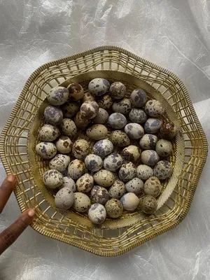 Premium Quail Eggs