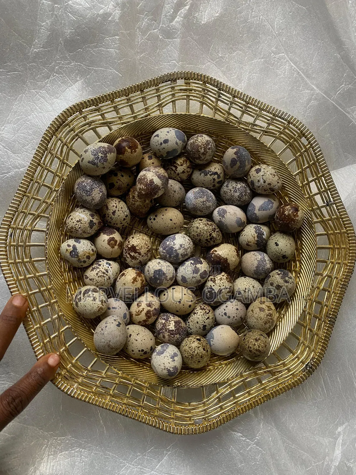 Premium Quail Eggs