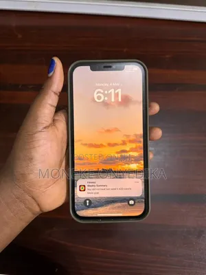 Apple iPhone 12 Pro Max 256 GB Blue