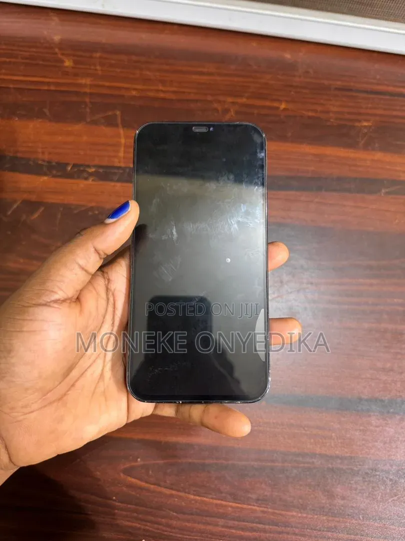 Apple iPhone 12 Pro Max 256 GB Blue