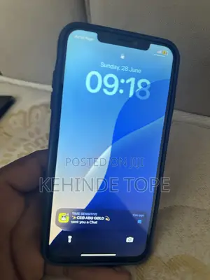 Apple iPhone XS Max 256 GB Gray