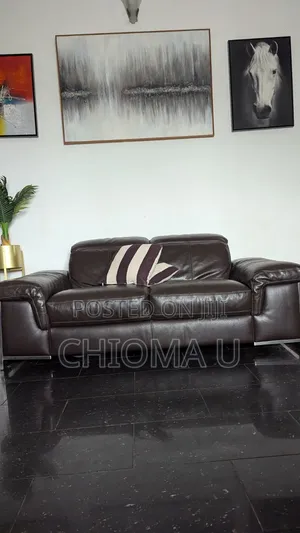 Usa Made 7 Seater Genuine Leather Couch