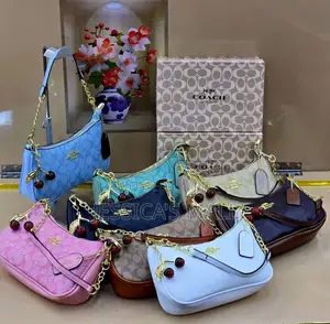 Coach Bag Boxed