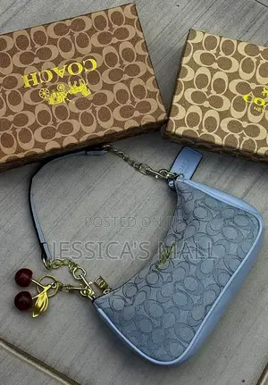 Coach Bag Boxed
