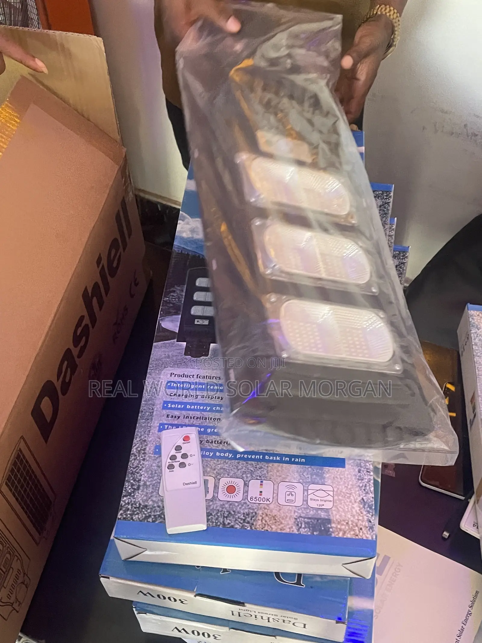 Dashiel Solar Street Light (300w)