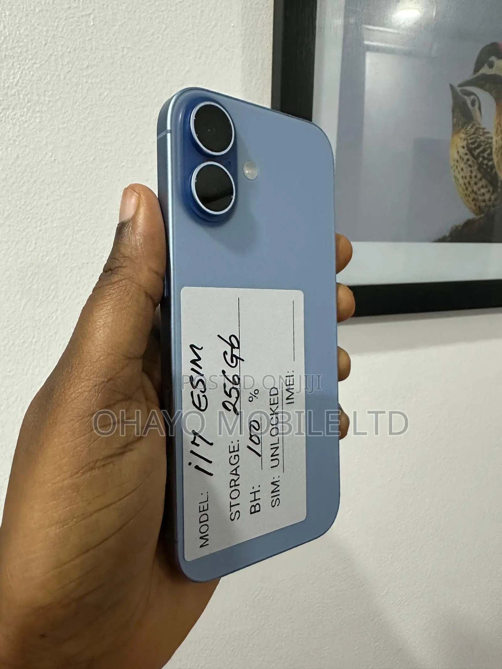Apple iPhone 17 256 GB Blue