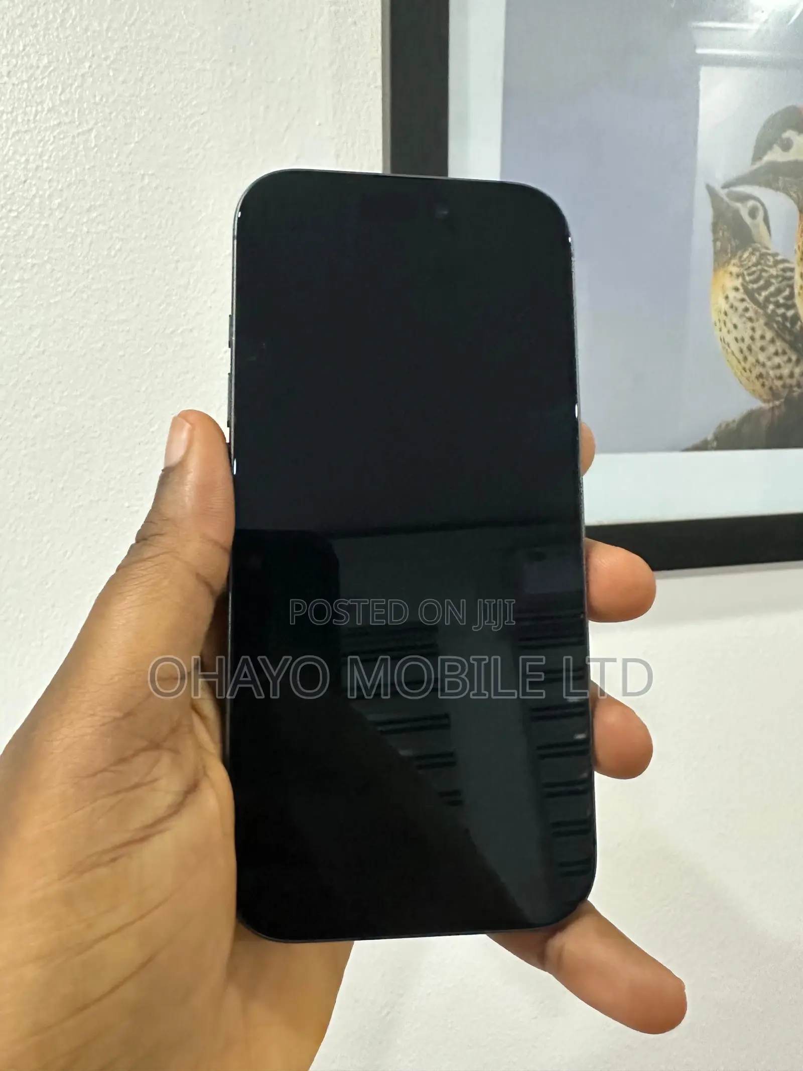 Apple iPhone 17 256 GB Blue