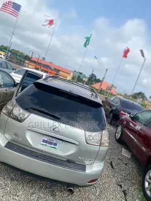 Lexus RX 330 2006 Gray