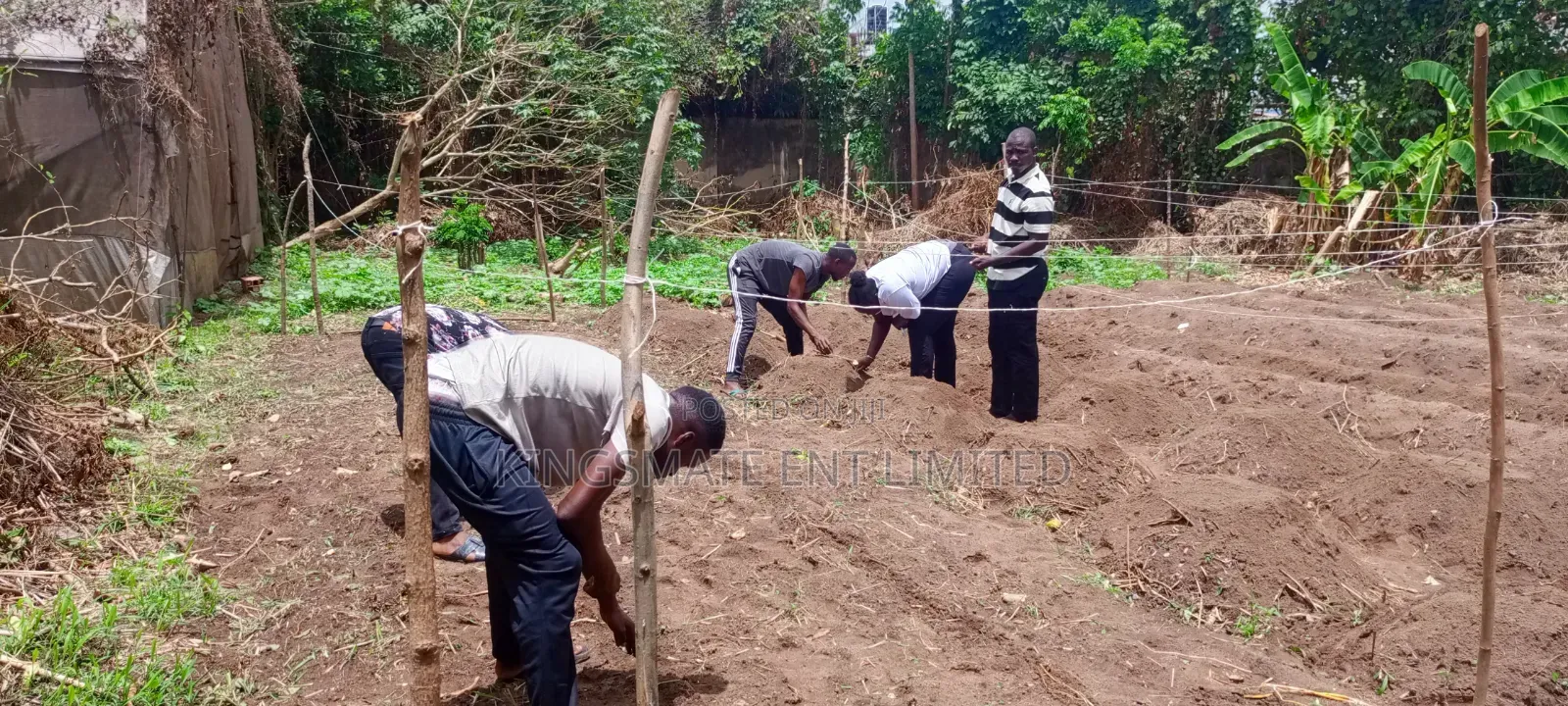 Agricultural Trainer / Agrometeorologist
