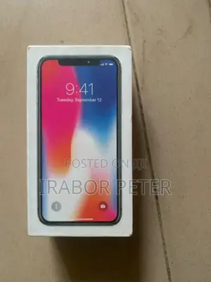 Apple iPhone X 64 GB Gray