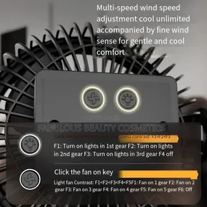 Multifunctional Desktop Dual-Head Fan (Fs-29)