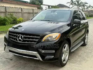 Mercedes-Benz M Class 2015 Black