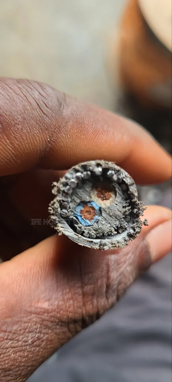 This Is 6mmx2core Armoured Cable