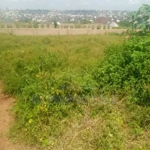 Buy Gorgeous Bare 100 X 100ft Land With Right Round Dwarf Fenced.