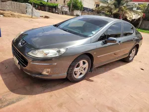Peugeot 407 2007 Gray