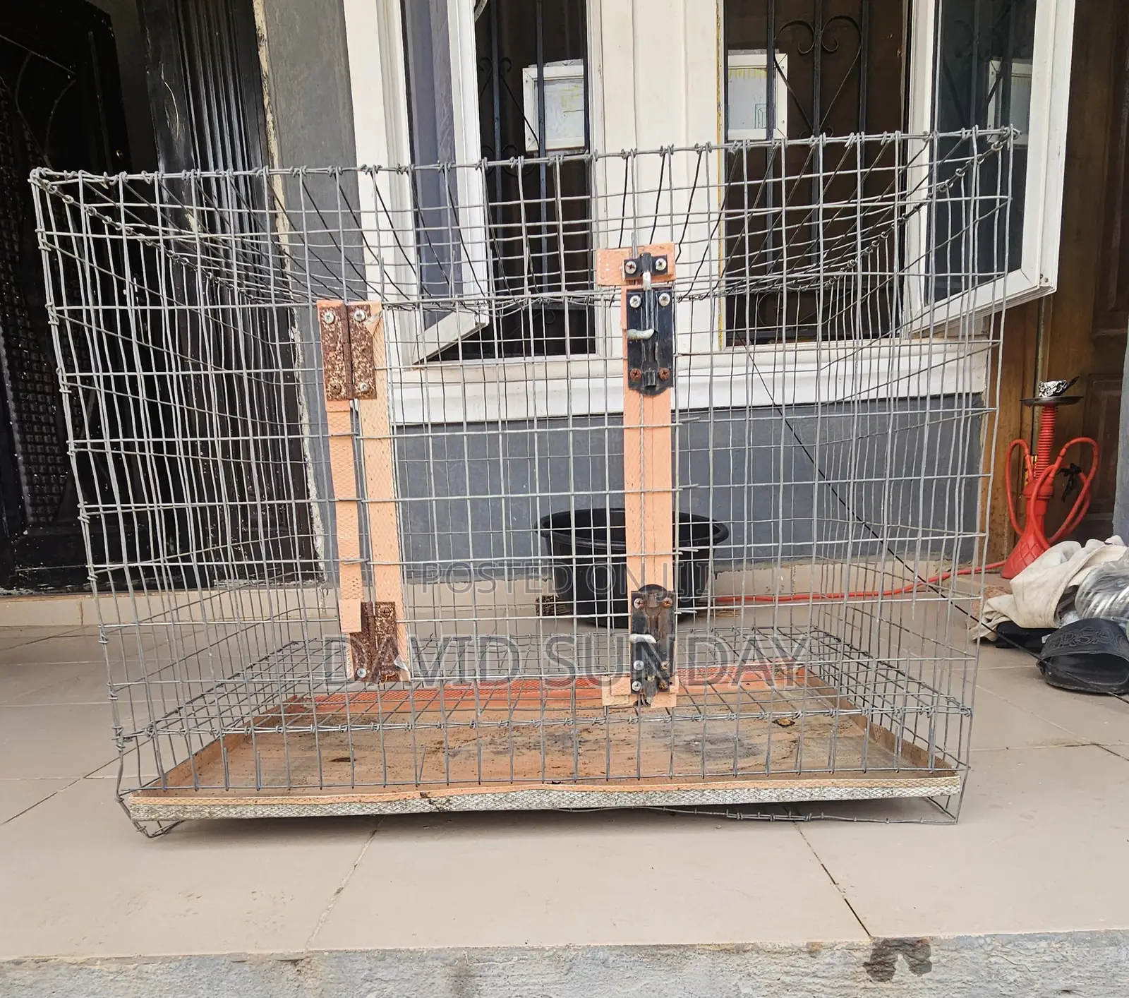 Big Dog Cage
