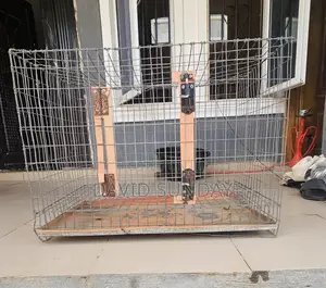 Big Dog Cage