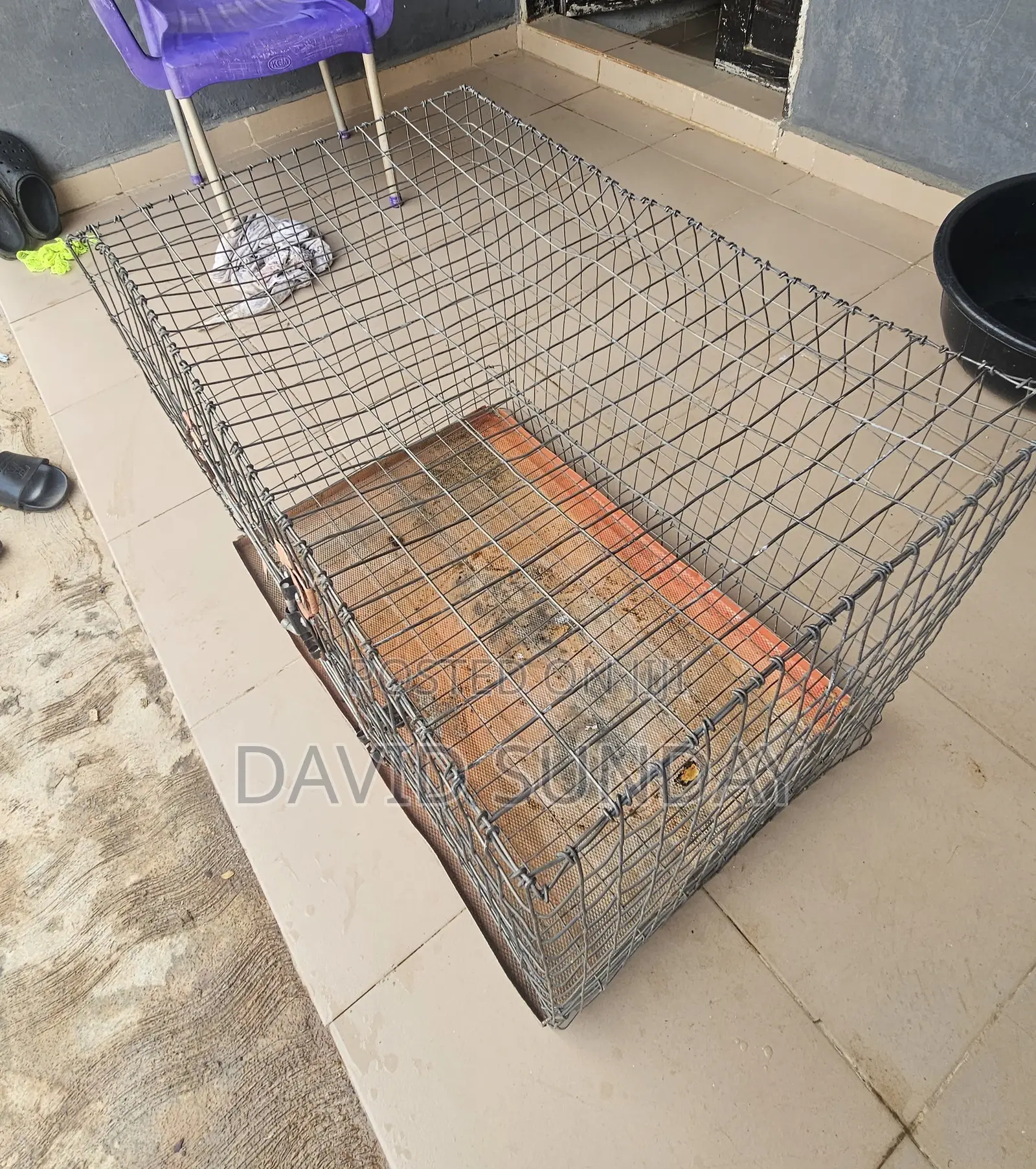 Big Dog Cage
