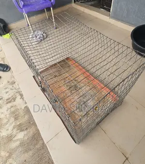 Big Dog Cage