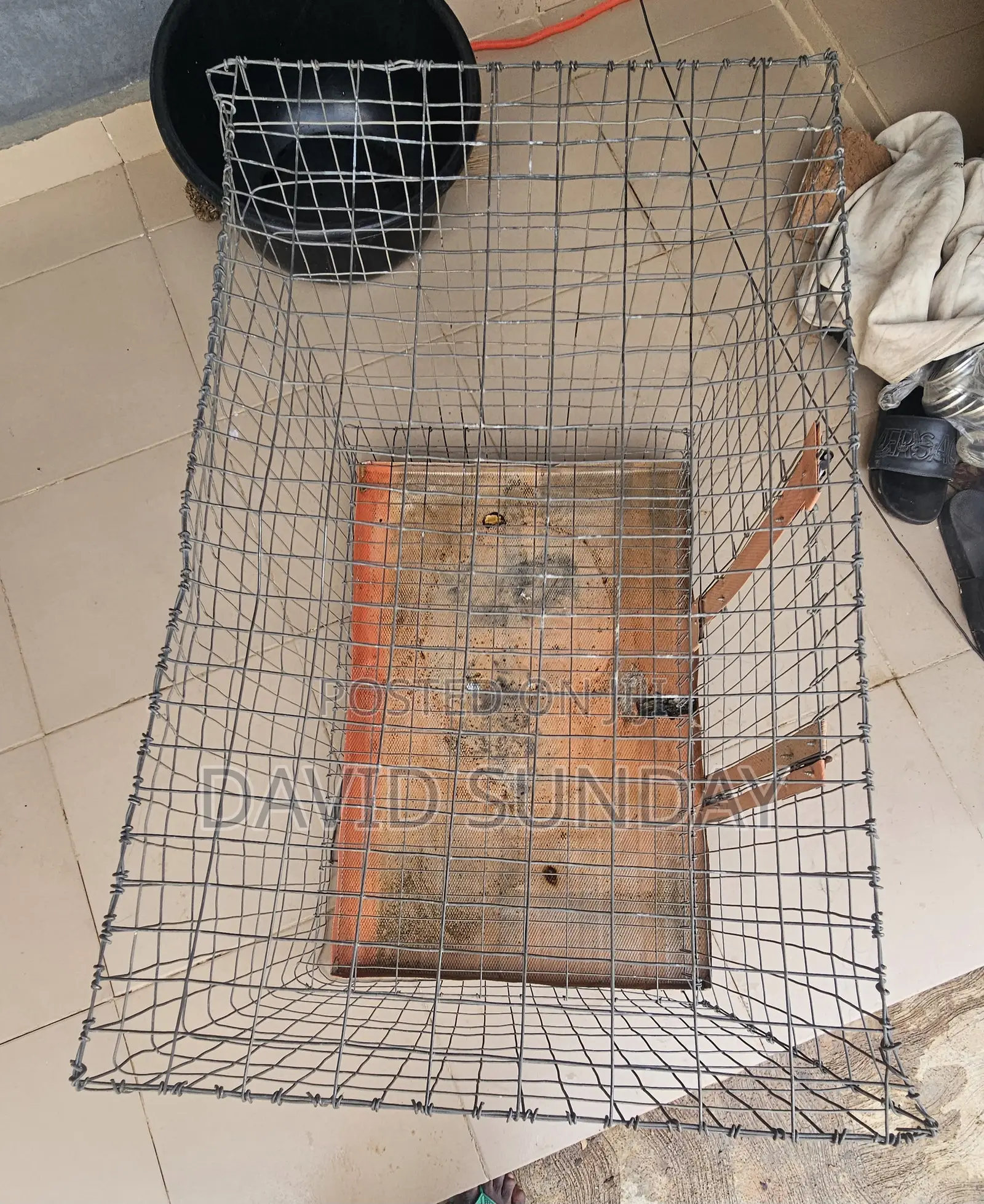 Big Dog Cage