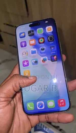 Apple iPhone 15 Pro Max 256 GB Gray