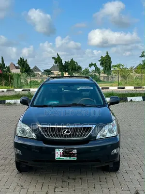 Lexus RX 2009 Gray