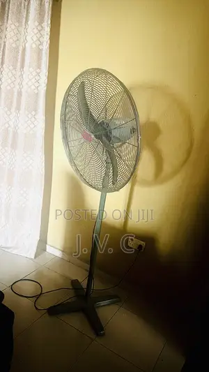 Standing Fan