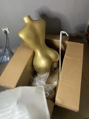 Bbl Mannequin