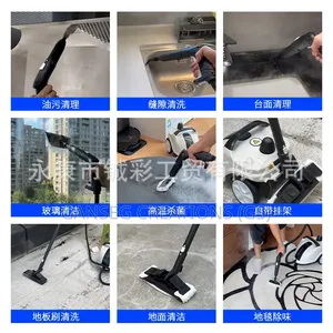 Heavy Duty Multi-purpose Steam Cleaner (Full Accessory Set)