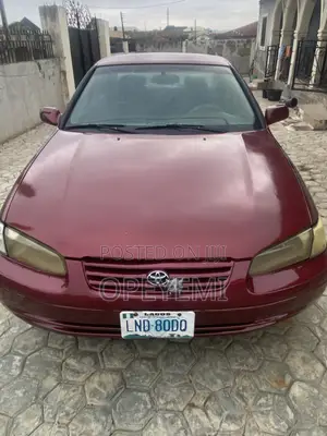 Toyota Camry 2001 Gray