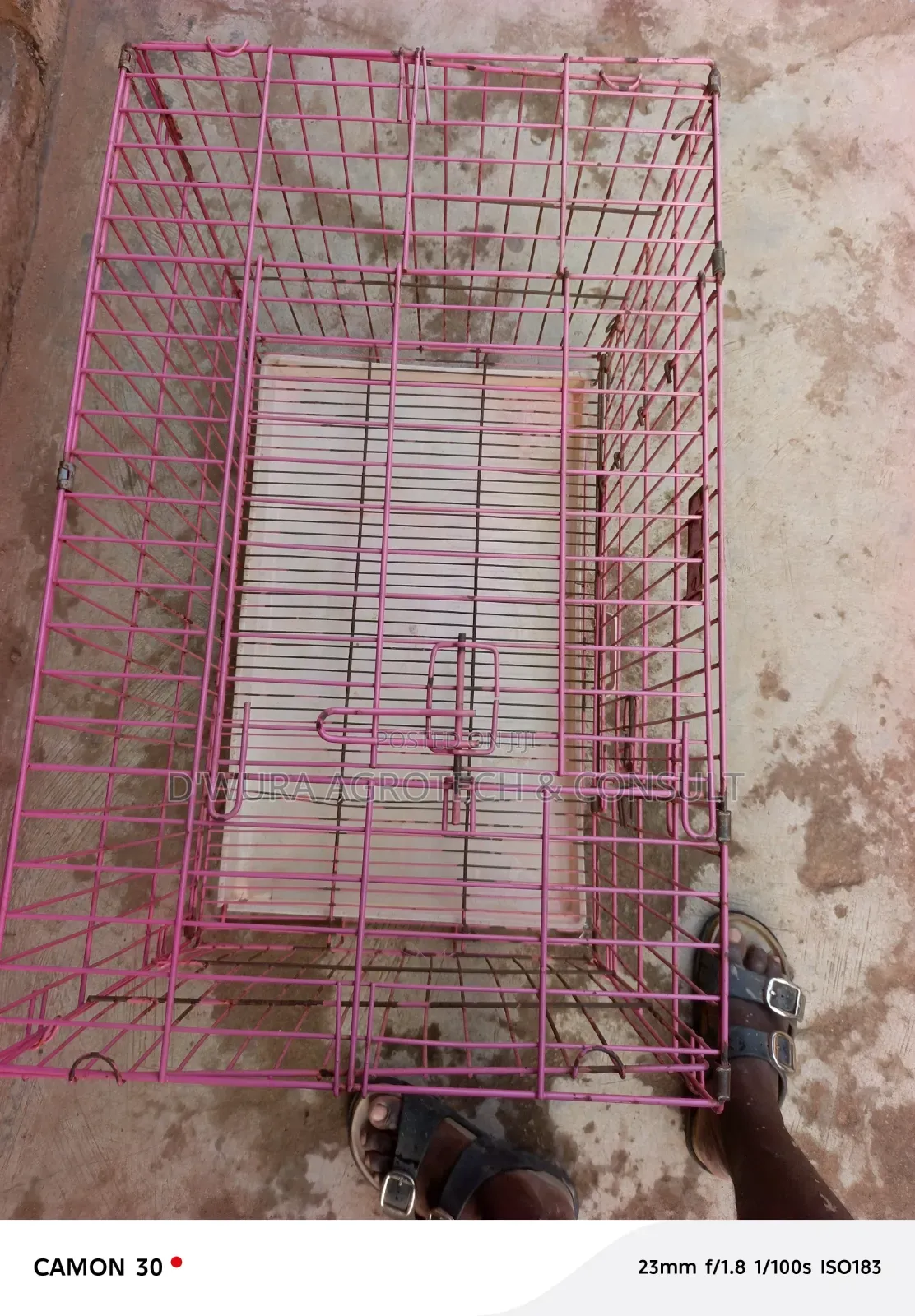 Used Collapsible Cage Size 3