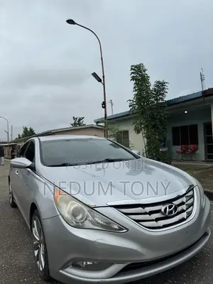Hyundai Sonata GLS Sedan FWD (2.4L 4cyl 6A) 2013 Silver