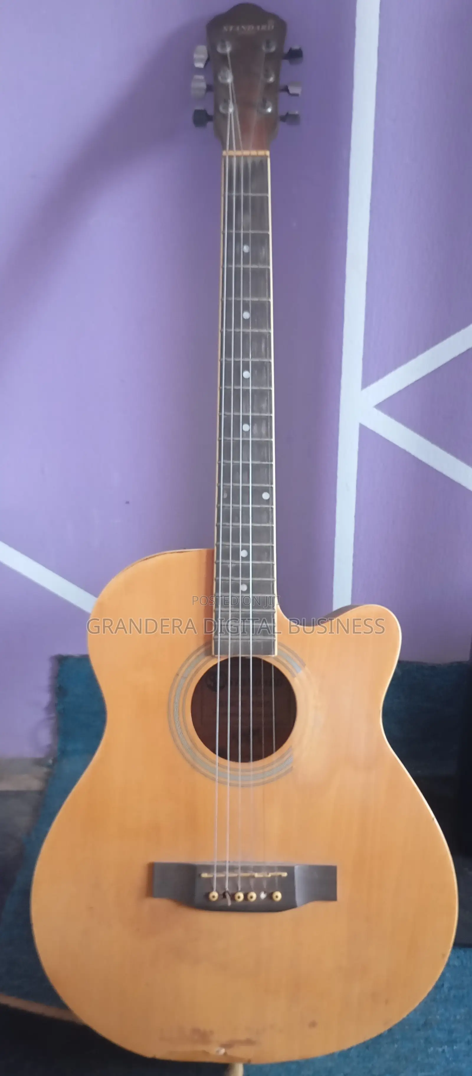 Standard Japan Acoustic Guitar