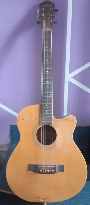 Standard Japan Acoustic Guitar