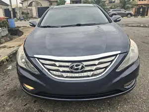 Hyundai Sonata 2014 Blue